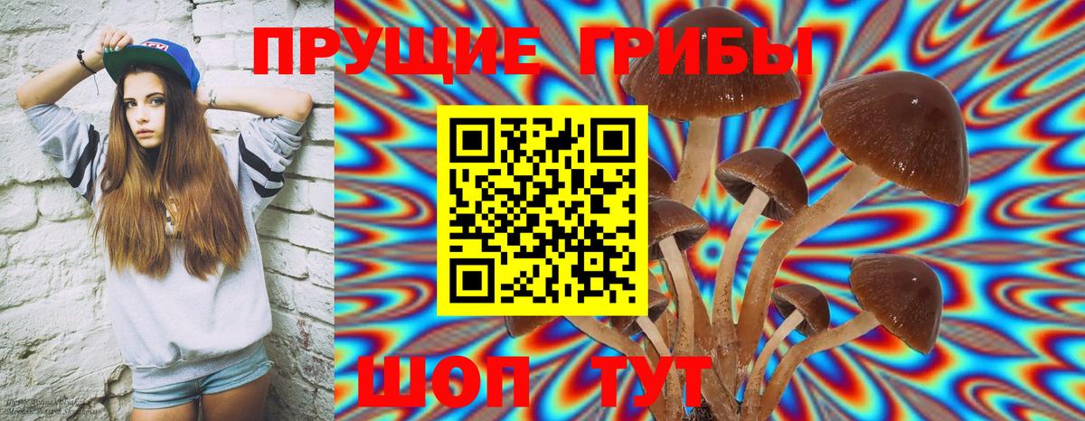Псилоцибиновые грибы Psilocybe Луховицы
